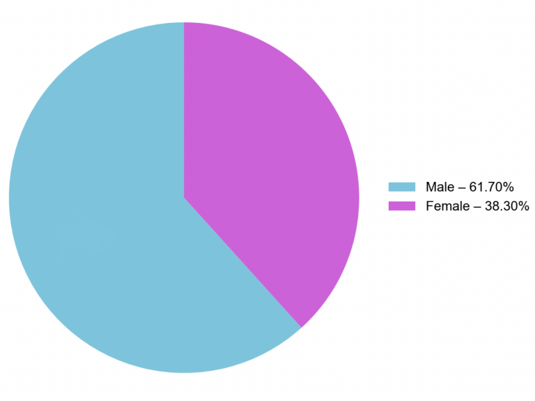 pie chart indicating 61.7% male and 38.3% female